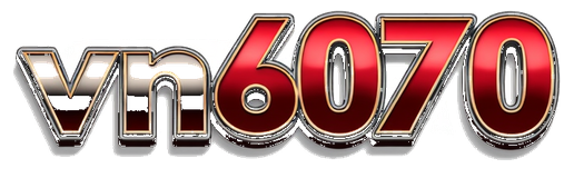 vn6070 logo